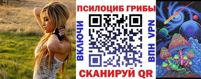 Псилоцибиновые грибы MAGIC MUSHROOMS  как найти наркотики  Саянск 