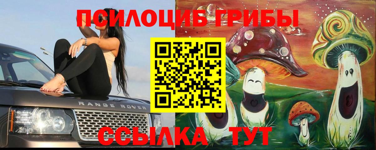 Саянск  Галлюциногенные грибы мицелий  Вход с VPN 