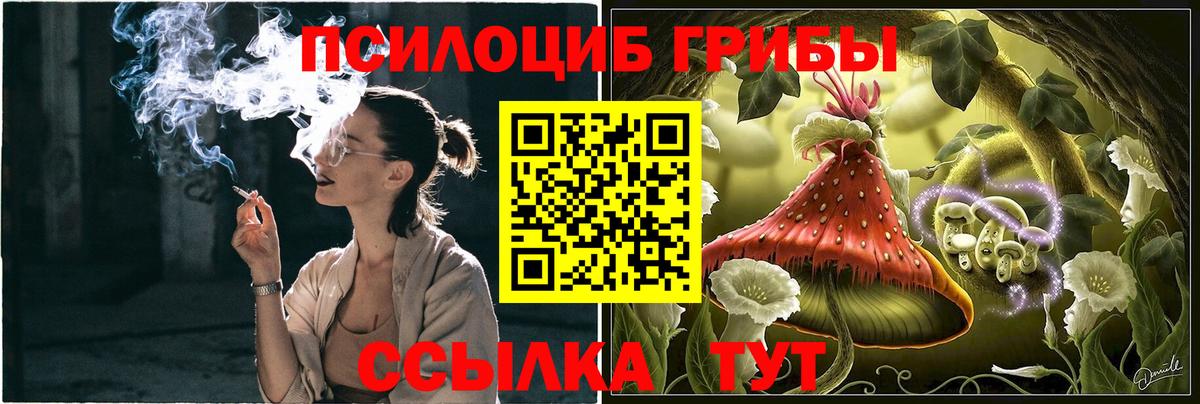 Галлюциногенные грибы мицелий Саянск